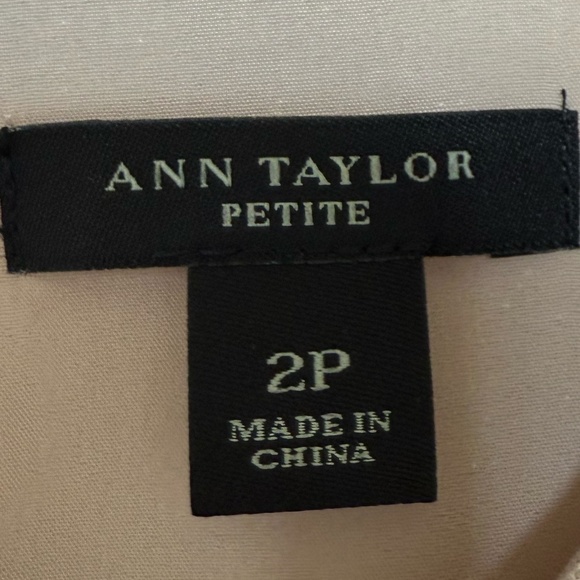 Ann Taylor, Shift Dress & Teardrop Earrings, Pink & Gold - Picture 7 of 9